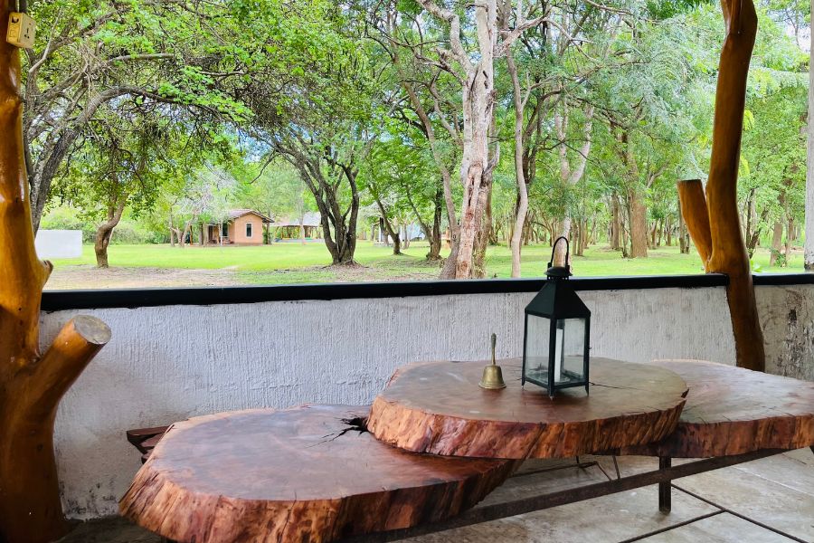 Spacious airy room Leopard Forest Chalet at Funky leopard safari lodge Yala national park 