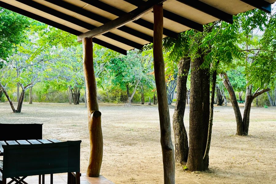 Spacious airy room Leopard Forest Cottage at Funky leopard safari lodge Yala national Park 