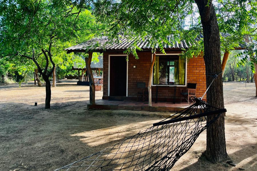 Spacious airy room Leopard Forest Cottage at Funky leopard safari lodge Yala national Park 