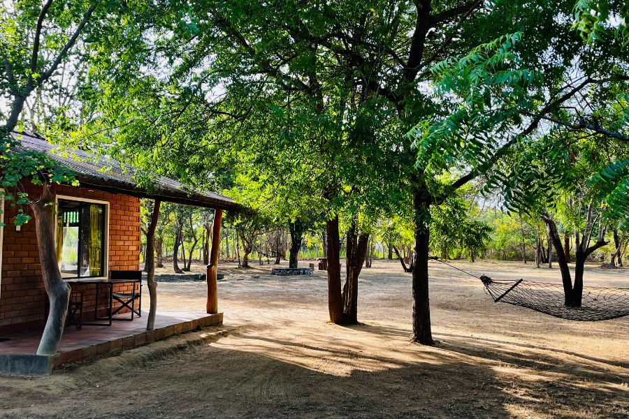 Spacious airy room Leopard Forest Cottage at Funky leopard safari lodge Yala national Park 