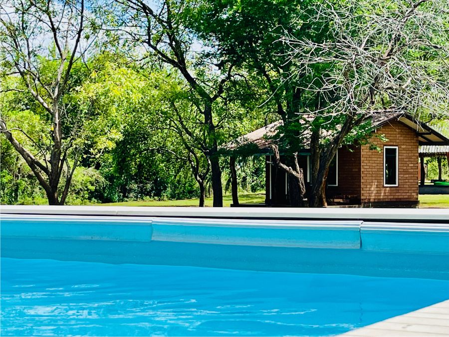Pool view at Funky leopard safari lodge Yala national park in Sri Lanka