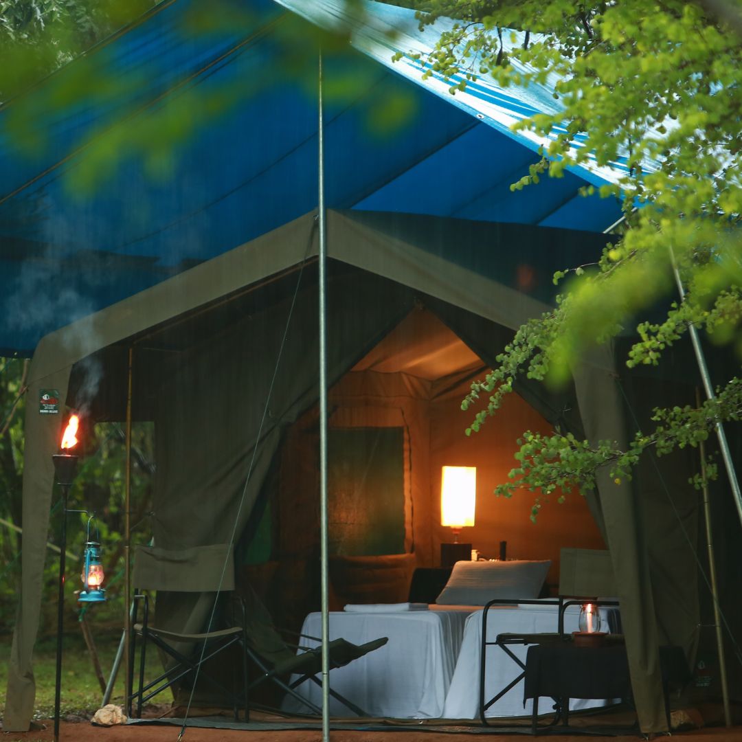 Best Budget-Friendly Yala National Park Accommodation & Safari Lodges